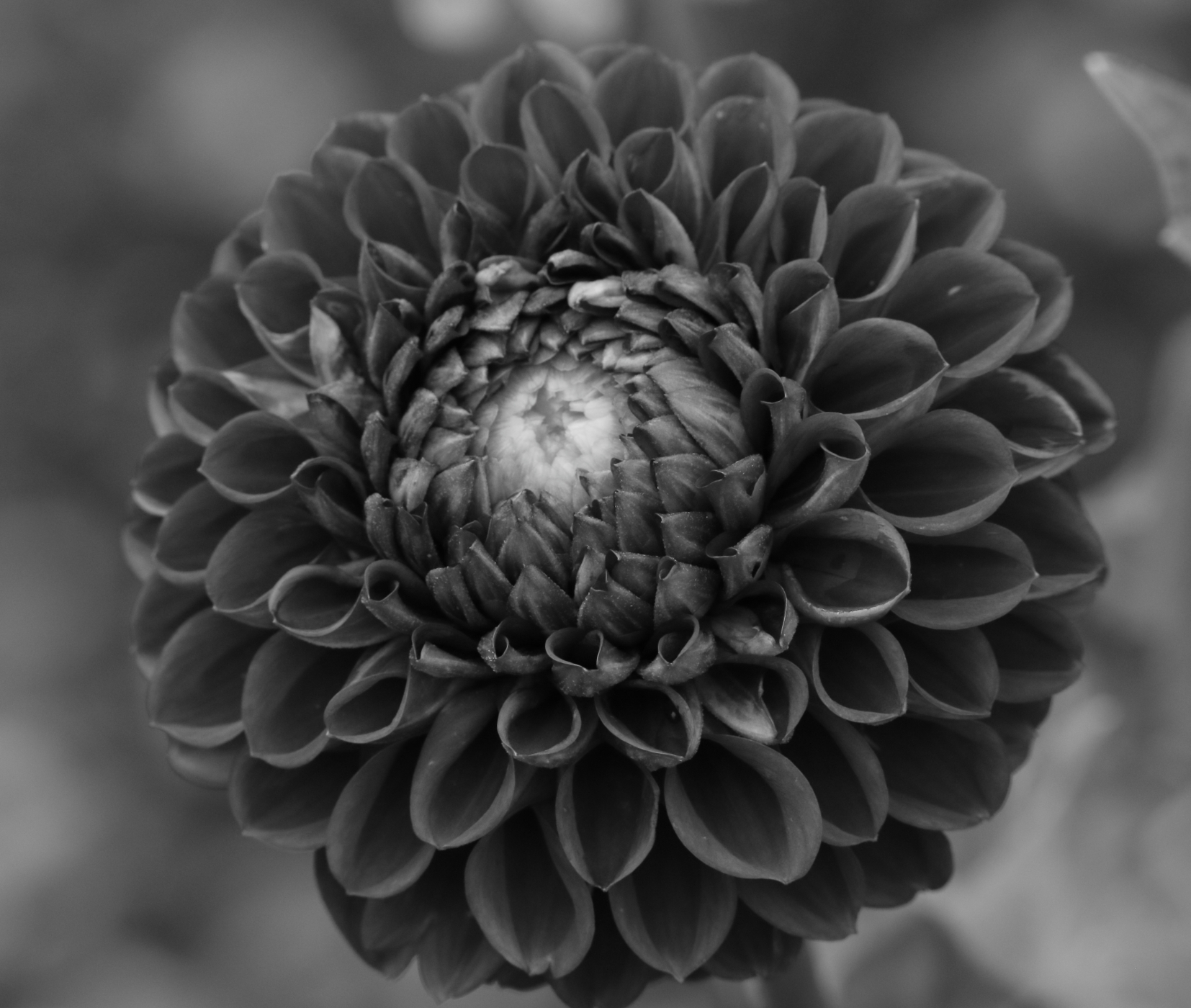 2021 07 19 HTP 50580ebw